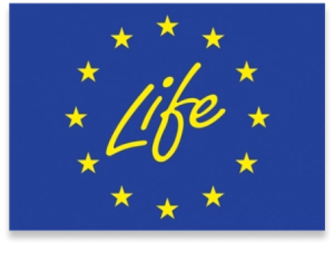 LIFE RE-ZIP project consortium update
